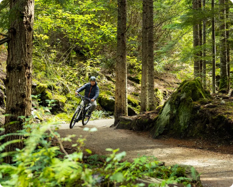 A mountain biker riding a forest trail